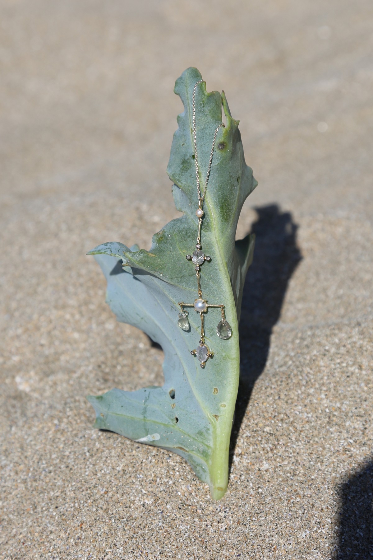 Collier Scotty  White